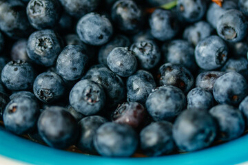 Blueberries background, close up