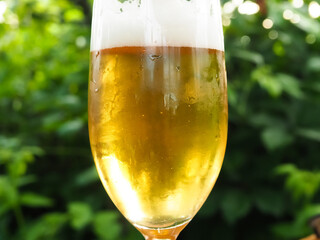cold beer in a mug in the summer outdoors.