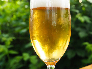 cold beer in a mug in the summer outdoors.