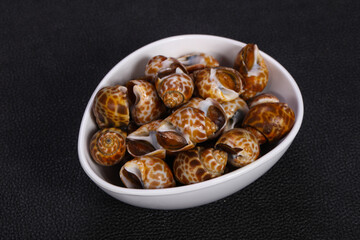 Tasty mollusk - spotted Babylon in the bowl