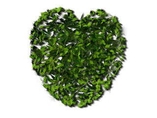 Fototapeta na wymiar 3D rendering. Model of a heart made of cannabis leaves on a white 