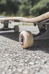Vertical shot of a skateboard on the ground under the sunlight with a blurry background