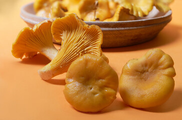 Forest orange chanterelle mushrooms on an orange background.