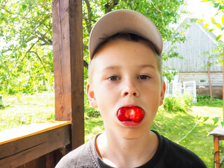 the boy is eating a large fresh strawberry. summer.