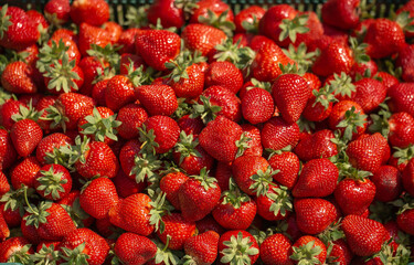 Fresh ripe perfect strawberry - Food Frame Background. Fresh strawberry as texture background. Natural food backdrop with red berries. Strawberries sale in a food market in summer.