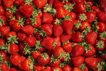 Fresh ripe perfect strawberry - Food Frame Background. Fresh strawberry as texture background. Natural food backdrop with red berries. Strawberries sale in a food market in summer.