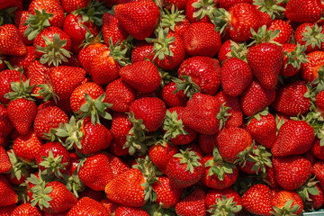 Fresh ripe perfect strawberry - Food Frame Background. Fresh strawberry as texture background. Natural food backdrop with red berries. Strawberries sale in a food market in summer.