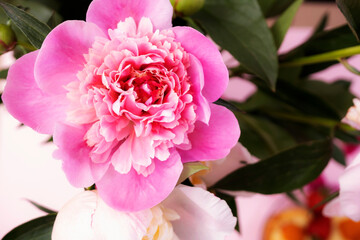 Obraz premium Photo of peonies flowers. Pink peonies background.