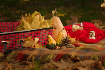Autumn composition with plaid, pumpkins, dry leaves, red suitcase and wooden owl toy.