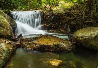 waterfall in a stream in the forest. Panoramic multiple shoot composite