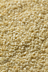 Raw Organic Dry White Sesame Seeds