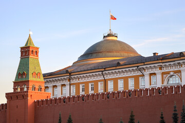 Fototapeta na wymiar Moscow Kremlin, the dome of the Senate Palace with the Russian flag.