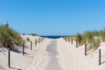 Fototapeta na wymiar path through the dunes to the Baltic Sea