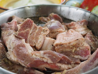 marinated in spices and sauce pieces of meat. pork kebab.