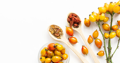 yellow Dog rose  Rosehips, types Rosa canina hips herbal Medicinal plants herbs composition on white