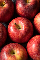 Raw Red Organic Gala Apples