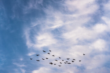 Nuvens e Pombos