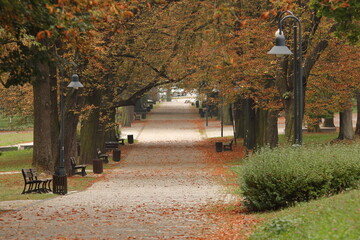 alley in autumn, empty park, without people