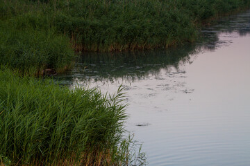 Morning on the river early