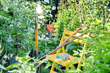 Garden tools and vegetables in an urban garden during the Coronavirus Pandemic