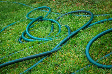 A twisted green hose is lying on the grass.