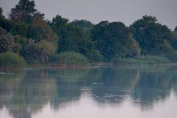 Morning on the river early