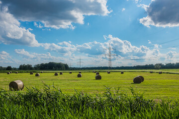 Feld mit Strohernte und Strommasten