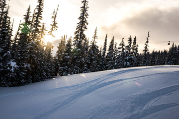 Sun peaking through trees on Ski run after fresh snow 