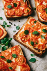 Baked sandwich with cheese and cherry tomatoes on dark bread decorated with fresh basil leaves.