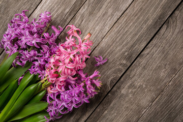 Purple flowers hyacinths on wooden background