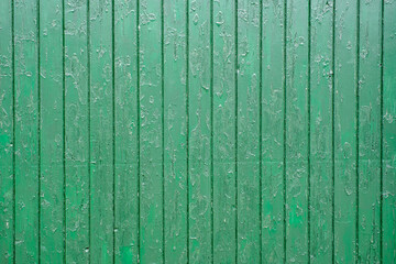 Vertical green wooden fence as a background. Close up of green wooden barn boards, paint is peeling off, great vintage texture.