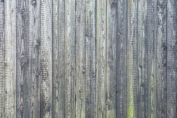 Fototapeta premium Vertical green grey wooden fence as a background. Close up of wooden weathered barn boards with peeling red and green paint, great vintage texture.