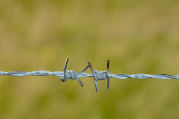 Barbed wire fence in a close-up with green blurred nature