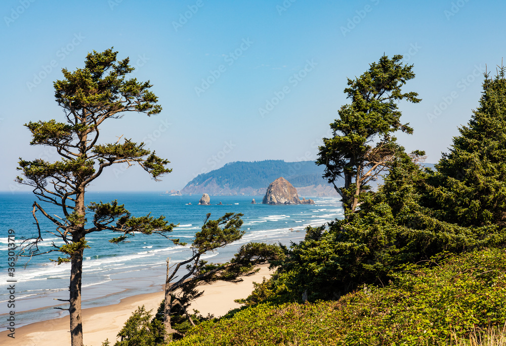 Canvas Prints green trees frame view of haystack rock on cannon beach in oregon