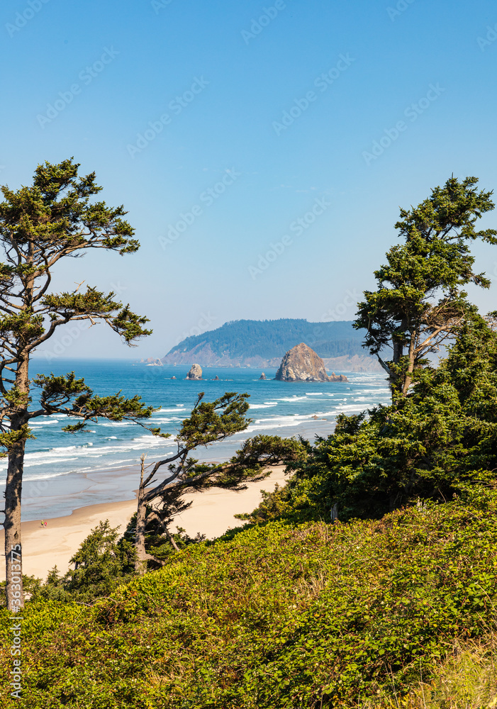 Wall mural vertical image - green trees frame view of haystack rock and cannon beach in oregon