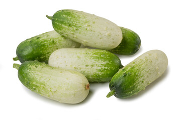 Fresh small cucumbers isolated on a white background close-up.