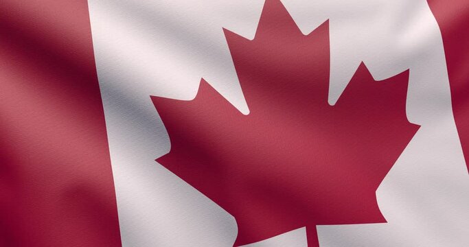 Realistic 3d hd flag canadian waving close up zoom Canada animation background