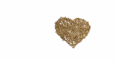 Grains of wheat barley rye oat on white background, natural dry grain in form of heart in right, wheat grains isolated top view. Free space for text Concept photo love of nature Banner for web site