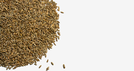 Grains of wheat, barley, rye, oats on white background close-up. Natural dry grain in form of semicircle with scattered seeds on left side isolated top view. Free space for text. Banner for web site