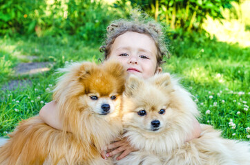Pretty little girl, child hugging her pomeranian and german spitz on green grass. happy best friends. Female with her pets. friendship since childhood. dog and human.
