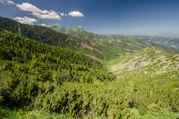 View of Mt Giewont and Jaworzynka Valley from Boczań, Tatra Mountains, Poland