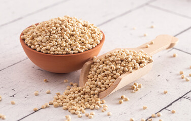 Bowl of Sprouted Sorghum on a Bright White Table