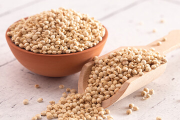 Bowl of Sprouted Sorghum on a Bright White Table