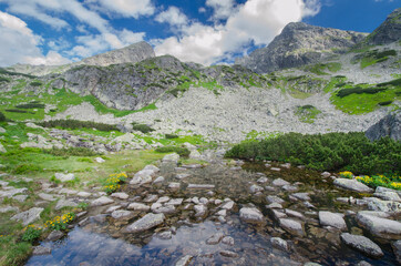Mountain lake in Green Gąsienicowa Valley (Dolina Zielona Gąsienicowa), Tatra Mountains, Poland