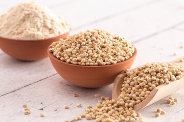 Bowl of Sprouted Sorghum and Sorghum Flour on a Bright White Table