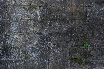 古いブロックの石畳