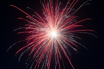 fireworks in the sky