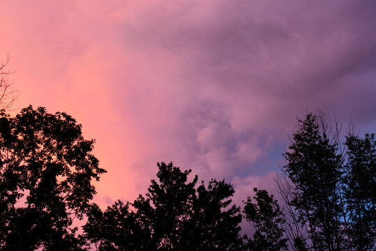 Pink and Purple clouds