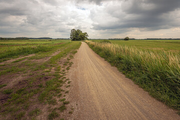 Fototapeta na wymiar Dramatic cloudy sky over a winding gravel road in a rural landscape