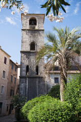 Historic tower with palm tree and shrub. Travel to Montenegro.